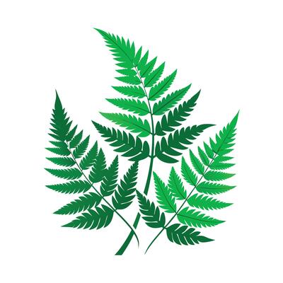 Realistic Beautiful Leaves Illustration