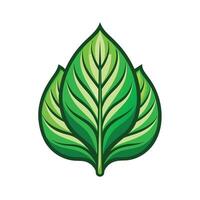 Realistic Beautiful Leaves Illustration vector