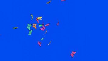 3d animation of a collection of colorful butterflies on a blue background. Illustration of wild animals flying in the air. Cluster of insects video