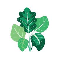 Realistic Beautiful Leaves Illustration vector