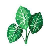 Realistic Beautiful Leaves Illustration vector