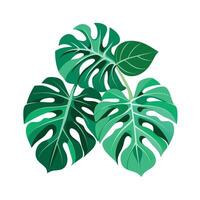 Realistic Beautiful Leaves Illustration vector