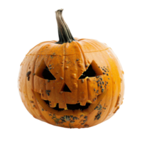 Harvesting Happiness Exploring the World of Pumpkins png
