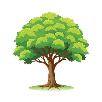 Beautiful Single Big Tree Illustration