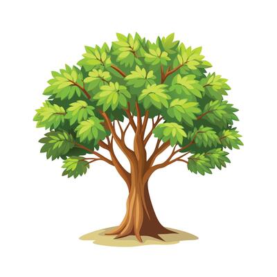 Beautiful Single Big Tree Illustration