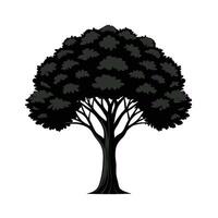 Beautiful Single Big Tree Illustration vector