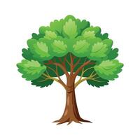 Beautiful Single Big Tree Illustration vector