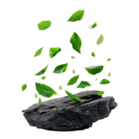 Isolated greenery leaves falling down on black rocks transparent background png