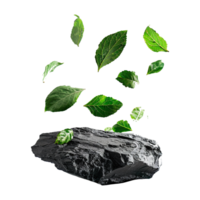 Isolated greenery leaves falling down on black rocks transparent background png