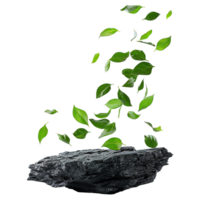 Isolated greenery leaves falling down on black rocks transparent background png