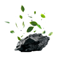 Isolated greenery leaves falling down on black rocks transparent background png