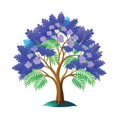 Beautiful Single Big Tree Illustration