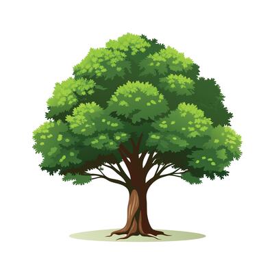 Beautiful Single Big Tree Illustration