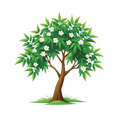 Beautiful Single Big Tree Illustration