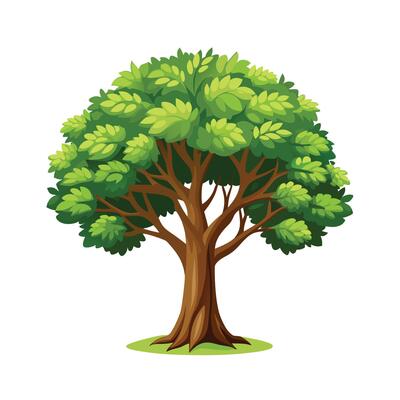 Beautiful Single Big Tree Illustration