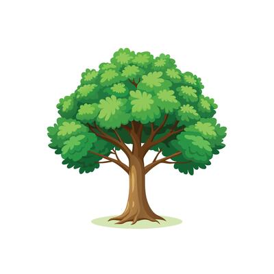 Beautiful Single Big Tree Illustration