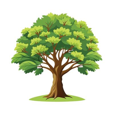 Beautiful Single Big Tree Illustration