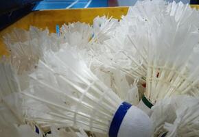 Shuttlecocks in the badminton arena photo