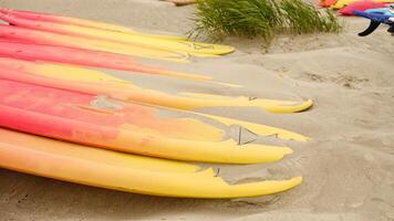 SUP boards in the row for rent on a sandy beach by the sea. Surfing and paddleboard equipment close-up. Abstract background from summer travel. Sports recreation. photo