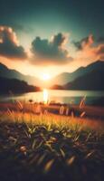 grass and blur background photo