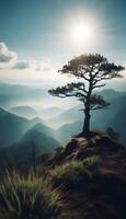 sunrise in the mountains photo