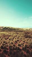 Sparse Grass in Desert Aerial View video