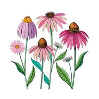 Realistic Beautiful Herbs Illustration vector