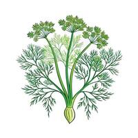 Realistic Beautiful Herbs Illustration vector