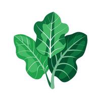 Realistic Beautiful Leaves Illustration vector