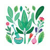 Realistic Beautiful Herbs Illustration vector