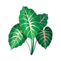 Realistic Beautiful Leaves Illustration vector