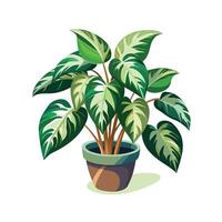 Beautiful Flowerpot Houseplant Illustration vector