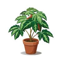 Beautiful Flowerpot Houseplant Illustration vector