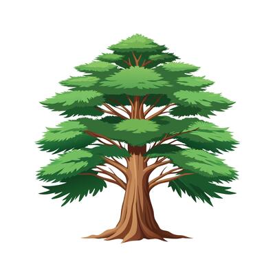 Beautiful Single Big Tree Illustration