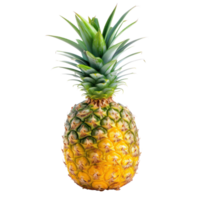 a pineapple is shown on a transparent background png