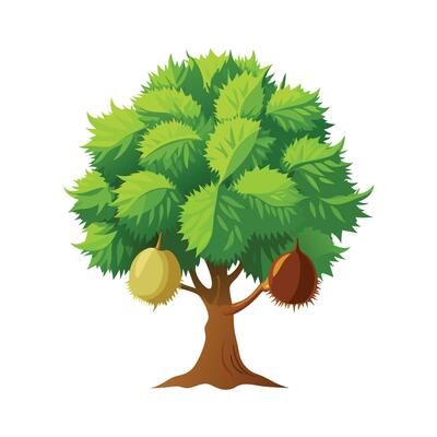 Beautiful Single Big Tree Illustration