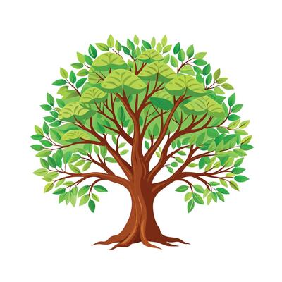 Beautiful Single Big Tree Illustration