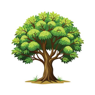 Beautiful Single Big Tree Illustration