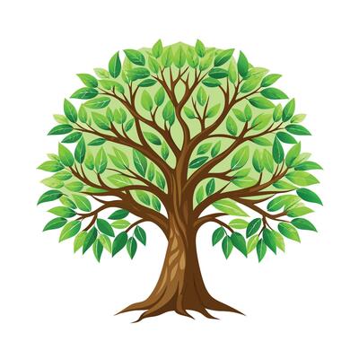 Beautiful Single Big Tree Illustration