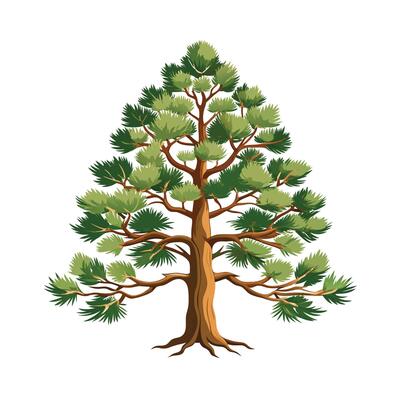 Beautiful Single Big Tree Illustration