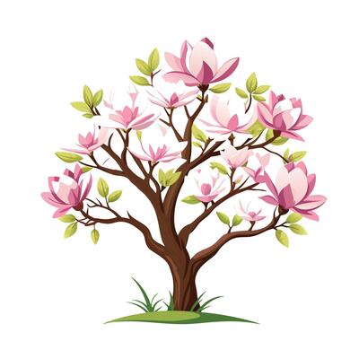 Magnolia Tree Vector Art, Icons, and Graphics for Free Download