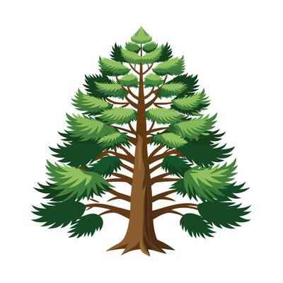 Beautiful Single Big Tree Illustration