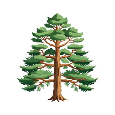 Beautiful Single Big Tree Illustration