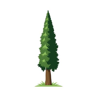 Beautiful Single Big Tree Illustration