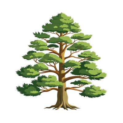 Beautiful Single Big Tree Illustration