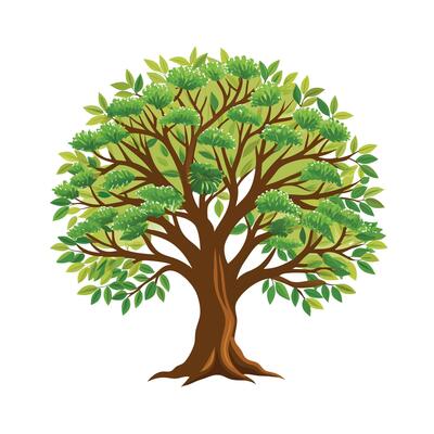 Beautiful Single Big Tree Illustration