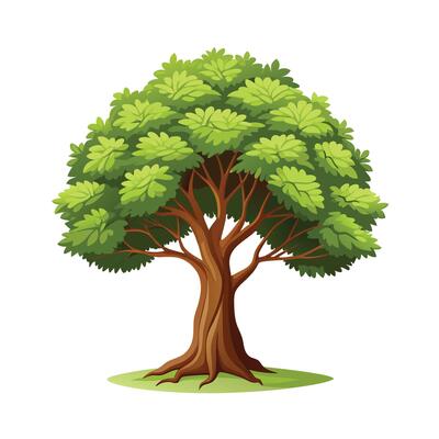 Beautiful Single Big Tree Illustration