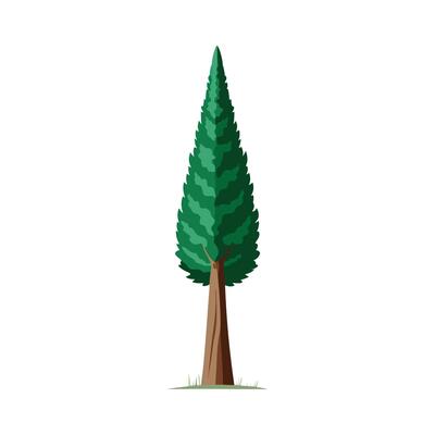 Beautiful Single Big Tree Illustration