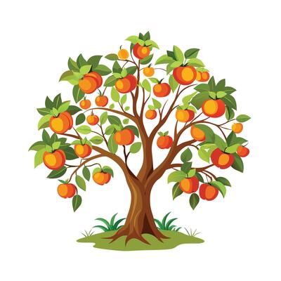 Beautiful Single Big Tree Illustration