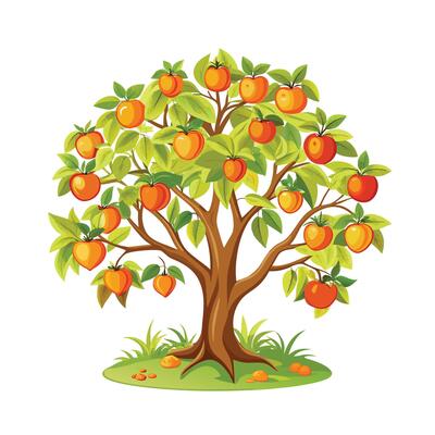 Beautiful Single Big Tree Illustration